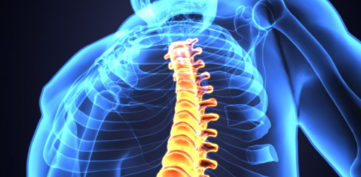 National Spinal Cord Injury Awareness Month